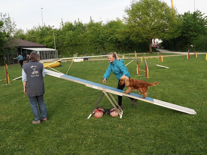 8109831-Agility-Anlern-6