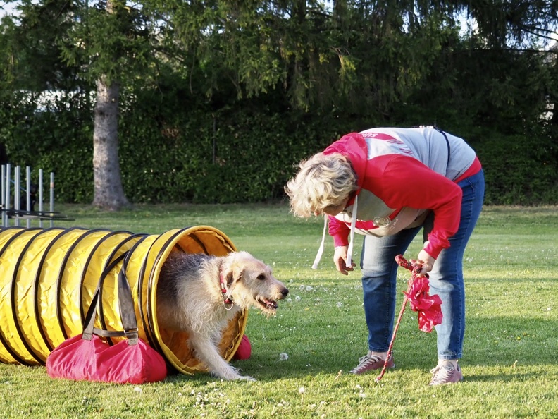 8109825-Agility-Anlern-3