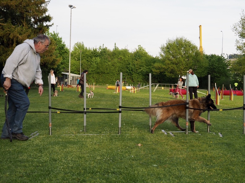 8109823-Agility-Anlern-2