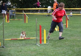 9180188-Agility-Meeting-2018 Ambiance-322