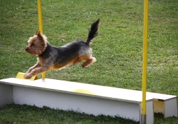 9180182-Agility-Meeting-2018 Ambiance-320