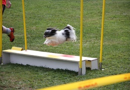 9180170-Agility-Meeting-2018 Ambiance-316