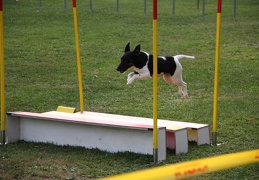 9180164-Agility-Meeting-2018 Ambiance-314