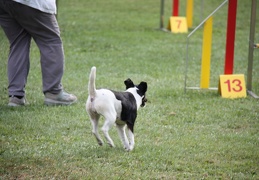 9180161-Agility-Meeting-2018 Ambiance-313