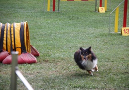 9180158-Agility-Meeting-2018 Ambiance-312