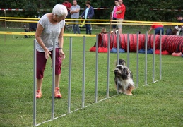 9180107-Agility-Meeting-2018 Ambiance-295