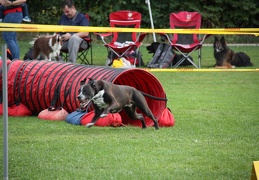 9180068-Agility-Meeting-2018 Ambiance-282