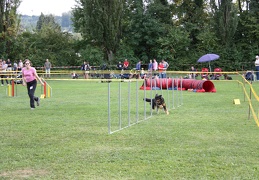9180062-Agility-Meeting-2018 Ambiance-280