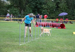 9180053-Agility-Meeting-2018 Ambiance-277