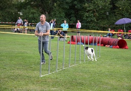 9180044-Agility-Meeting-2018 Ambiance-274