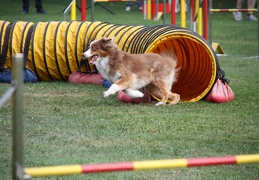 9180038-Agility-Meeting-2018 Ambiance-272