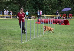 9180026-Agility-Meeting-2018 Ambiance-268
