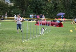 9179888-Agility-Meeting-2018 Ambiance-222