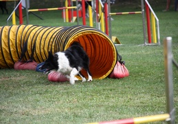 9179882-Agility-Meeting-2018 Ambiance-220
