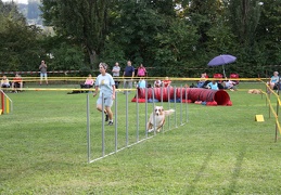 9179870-Agility-Meeting-2018 Ambiance-216