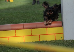 9179705-Agility-Meeting-2018 Ambiance-161