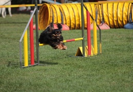 9179702-Agility-Meeting-2018 Ambiance-160