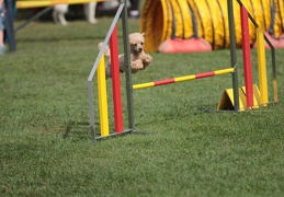 9179696-Agility-Meeting-2018 Ambiance-158