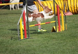 9179684-Agility-Meeting-2018 Ambiance-154