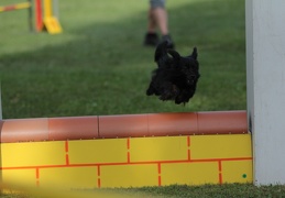 9179681-Agility-Meeting-2018 Ambiance-153