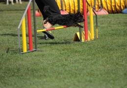 9179678-Agility-Meeting-2018 Ambiance-152