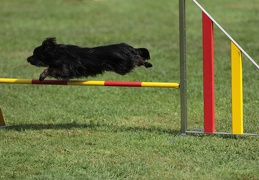 9179675-Agility-Meeting-2018 Ambiance-151