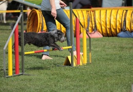 9179672-Agility-Meeting-2018 Ambiance-150