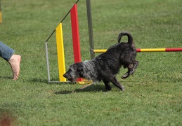 9179669-Agility-Meeting-2018 Ambiance-149