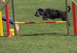 9179666-Agility-Meeting-2018 Ambiance-148
