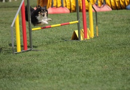 9179663-Agility-Meeting-2018 Ambiance-147