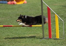 9179657-Agility-Meeting-2018 Ambiance-145