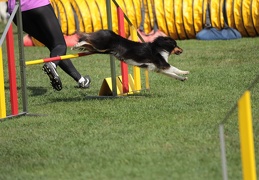9179654-Agility-Meeting-2018 Ambiance-144
