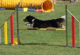 9179648-Agility-Meeting-2018 Ambiance-142