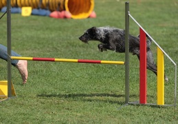 9179642-Agility-Meeting-2018 Ambiance-140