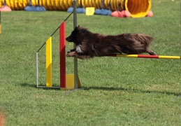 9179636-Agility-Meeting-2018 Ambiance-138
