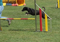 9179630-Agility-Meeting-2018 Ambiance-136