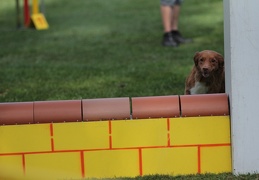 9179621-Agility-Meeting-2018 Ambiance-133