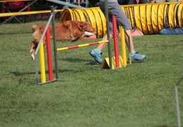 9179615-Agility-Meeting-2018 Ambiance-131