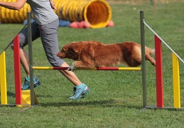 9179612-Agility-Meeting-2018 Ambiance-130