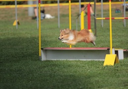 9179603-Agility-Meeting-2018 Ambiance-127
