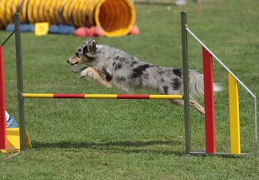 9179594-Agility-Meeting-2018 Ambiance-124
