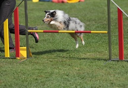 9179588-Agility-Meeting-2018 Ambiance-122