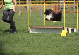 9179528-Agility-Meeting-2018 Ambiance-102