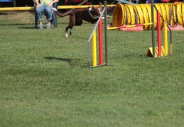 9179519-Agility-Meeting-2018 Ambiance-099