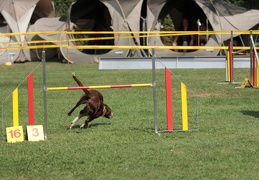 9179513-Agility-Meeting-2018 Ambiance-097