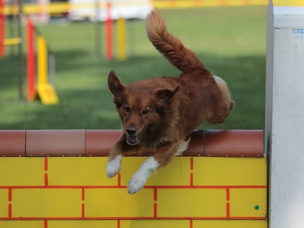 9179507-Agility-Meeting-2018 Ambiance-095
