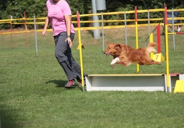 9179504-Agility-Meeting-2018 Ambiance-094