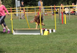 9179501-Agility-Meeting-2018 Ambiance-093