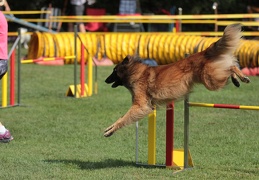 9179495-Agility-Meeting-2018 Ambiance-091