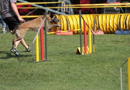 9179489-Agility-Meeting-2018 Ambiance-089